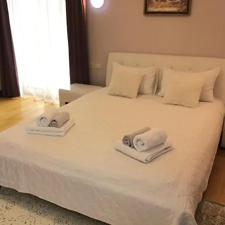 Radvi House Dom wakacyjny Druskieniki