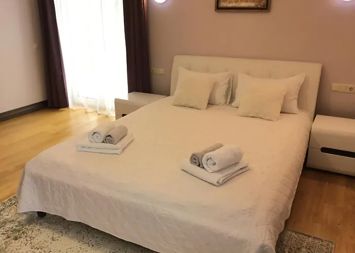 Radvi House Holiday home Druskininkai